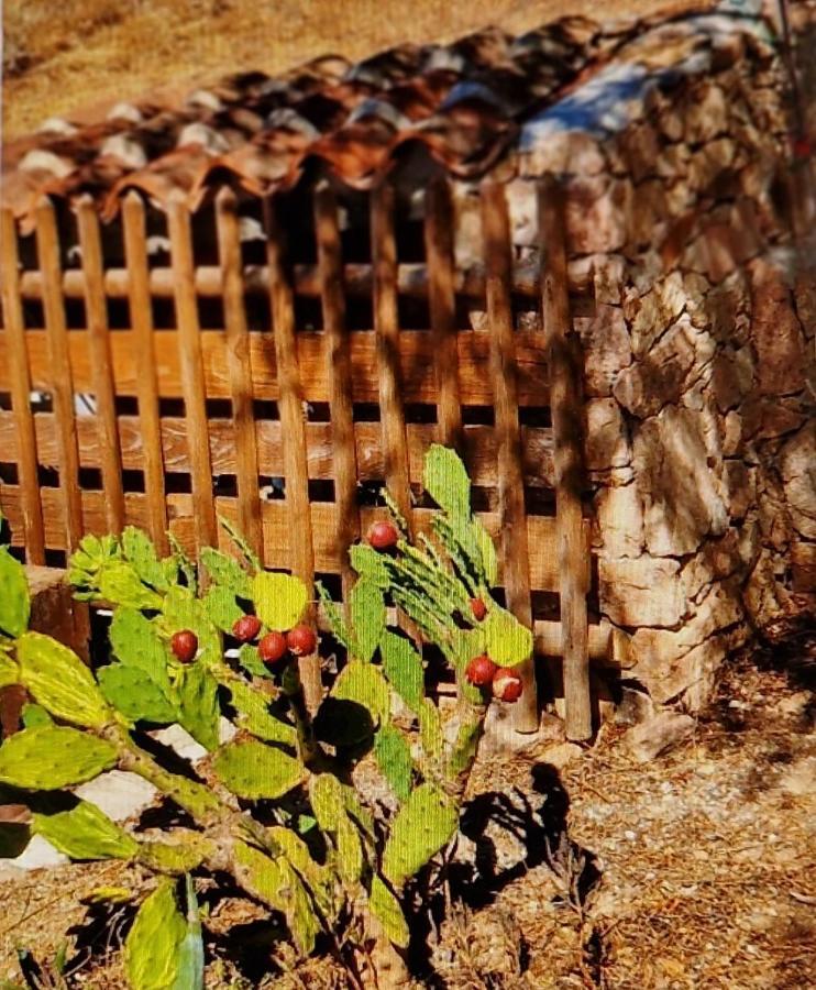 אולביה Villa Smeralda מראה חיצוני תמונה
